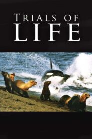 The Trials of Life 1990 on netflix