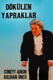 Dökülen Yapraklar 1987 on netflix