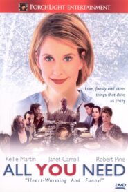 All You Need 2001 on netflix
