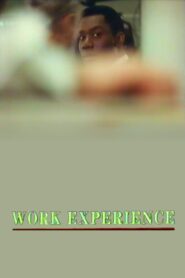 Work Experience 1989 on netflix