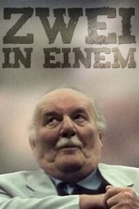 Two in One 2001 on netflix