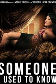 Someone I Used to Know 2013 on netflix