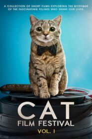 Cat Film Festival Vol. 1 2020 on netflix