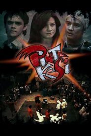 Pintakasi 2011 on netflix