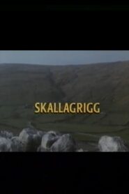 Skallagrigg 1994 on netflix