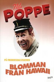 Blomman från Hawaii 1992 on netflix