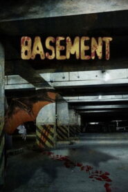 Basement 2014 on netflix