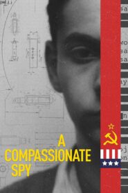 A Compassionate Spy 2022 on netflix
