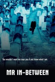 Mr In-Between 2001 on netflix