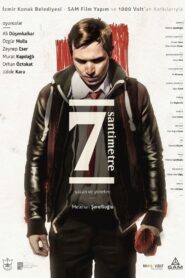 7 Centimeters 2016 on netflix