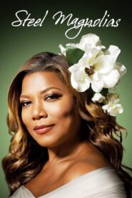 Steel Magnolias 2012 on netflix