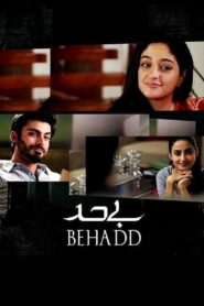 Behadd 2013 on netflix