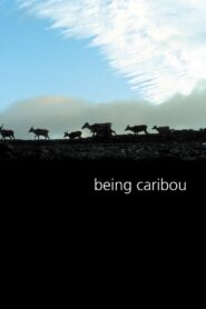 Being Caribou 2005 on netflix
