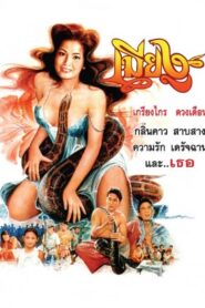The Snake Wife 1994 on netflix