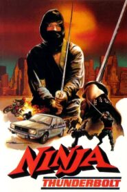 Ninja Thunderbolt 1984 on netflix