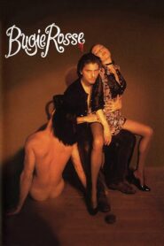 The Final Scoop 1994 on netflix