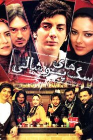 Saghaye Pooshali 2013 on netflix