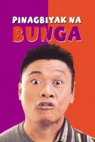 Pinagbiyak Na Bunga: Lookalayk 1994 on netflix