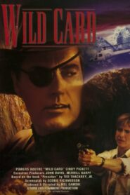 Wild Card 1992 on netflix