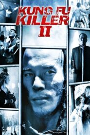 Kung Fu Killer 2 2008 on netflix