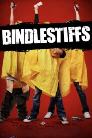 Bindlestiffs 2012 on netflix