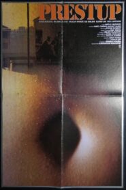 Transgression 1980 on netflix