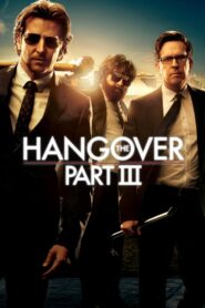 The Hangover Part III 2013 on netflix