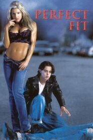 Perfect Fit 2001 on netflix