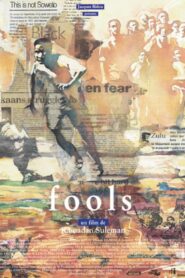 Fools 1997 on netflix