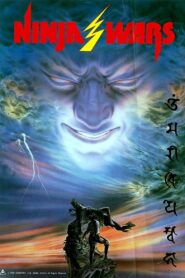 Ninja Wars 1982 on netflix