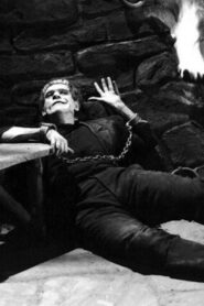 Discovering Horror on Film 2019 on netflix