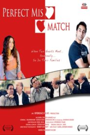 Perfect Mismatch 2009 on netflix
