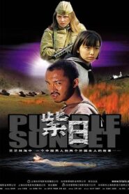 Purple Sunset 2001 on netflix
