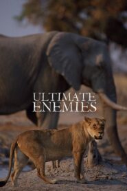 Ultimate Enemies: Revealed 2022 on netflix