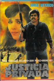 Justicia Privada 1991 on netflix
