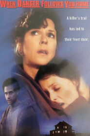 When Danger Follows You Home 1997 on netflix
