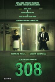 308 2013 on netflix