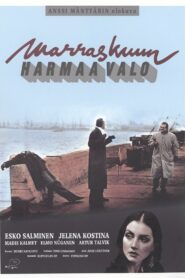 Marraskuun harmaa valo 1993 on netflix