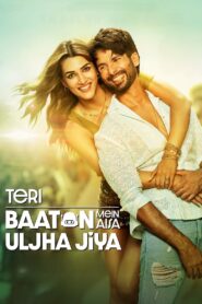 Teri Baaton Mein Aisa Uljha Jiya 2024 on netflix