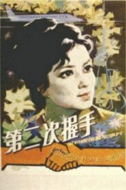 The Second Handshake 1980 on netflix