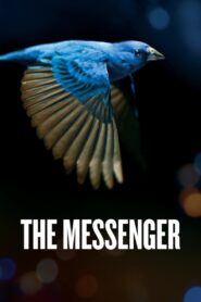The Messenger 2015 on netflix