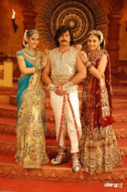 Ponnar Shankar 2011 on netflix