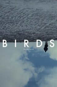 Birds (Or How to Be One) 2020 on netflix