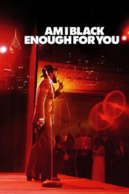 Am I Black Enough for You 2009 on netflix