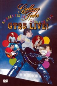 Gyllene Tider: GT25 Live – En scen på en plats i en stad 2004 on netflix