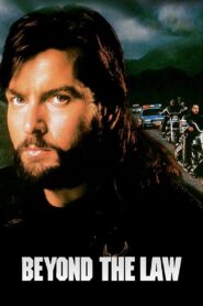 Beyond the Law 1993 on netflix