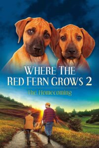 Where The Red Fern Grows Part 2 1992 on netflix