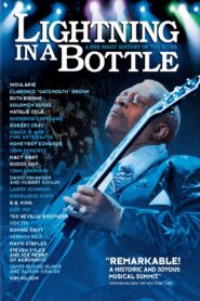 Lightning in a Bottle 2004 on netflix
