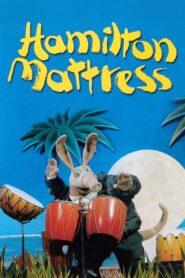 Hamilton Mattress 2002 on netflix