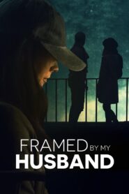 Framed by My Husband 2021 on netflix